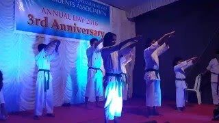 Amazing Karate Demo by Kids [upl. by Gosselin]