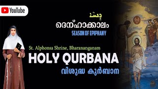 SyroMalabar H Qurbana  Fr Abraham Erimattathil 0530 AM  10022024 [upl. by Montana413]