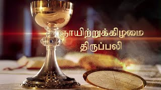 SUNDAY MASS TAMIL  10 11 2024 [upl. by Uriia]