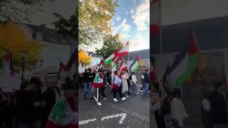 Free🇨🇦🇵🇸hameln demo Olaf Scholz [upl. by Tyrone]