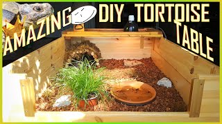 HOW TO MAKE AN AMAZING TORTOISE TABLE  ULTIMATE DIY Reptile Enclosure [upl. by Atnomed]