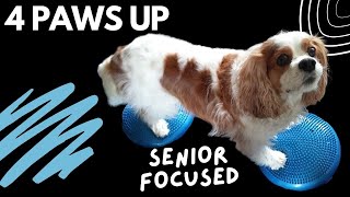 AtHome Physical Therapy for Dogs Back Legs and Strength  Senior Cavalier Physiotherapy Exercises [upl. by Banwell650]