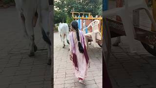 Bullock Cart Riding Edlabandi savari in shilparamam Hyderabad shilparamam nithiksharvlogs [upl. by Demetra]