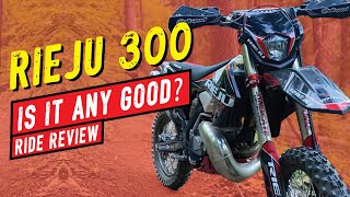 Rieju 300 Has The Power Ive Been Looking For First Impressions Ride Review [upl. by Tadeas]