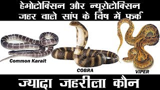 सबसे जहरीला सांप कौन  Hemotoxic Venom VS Neurotoxic Venom  Types of Snake Venom amp effect on Humans [upl. by Law]