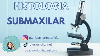 Histología para Medicina Glándula submaxilar [upl. by Calley]