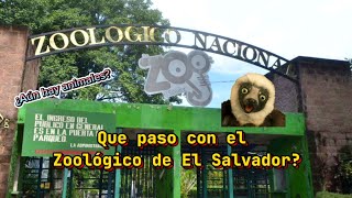 ¿Que pasó con EL ZOOLÓGICO NACIONAL  ¿Aún hay ANIMALES  EL SALVADOR🇸🇻 [upl. by Anilave129]