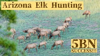 Arizona Archery Elk Hunting 2024  Unit 5BN Success [upl. by Nosnev625]