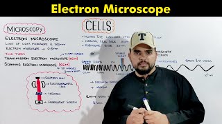 Electron Microscope Transmission and Scanning Electron Microscope O amp A Level Biology [upl. by Rehttam301]