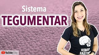 Sistema Tegumentar 14 Introdução  Anatomia etc [upl. by Hsetim]