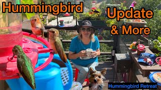 Hummingbirds Return to Fall RETREAT for Hummingbird Nectar Recipe in Feeders amp Flowers ORIOLE Update [upl. by Koerner]