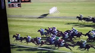 Newmarket Todays at 340 🐎 🐴 🎠 horse Racing [upl. by Carver835]