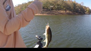 Wedowee Bass Fishing  October 2024 [upl. by Vocaay]