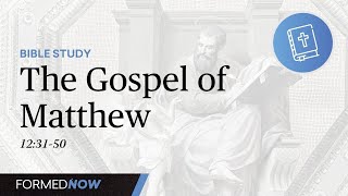 Jesus’ Mother and Brothers  The Gospel of Matthew  Catholic Bible Study [upl. by Sergo]