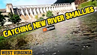 Bass Fishing Below The Bluestone Dam HintonWest Virginia [upl. by Liss]