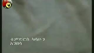 Teddy Afro Kenenisa Video With Lyrics  ቴዲ አፍሮ አንበሳ ቀነኒሳ ከግጥም ጋር [upl. by Saw900]