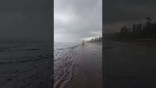 Dive Agar Beach Horse Ferry [upl. by Cheslie541]