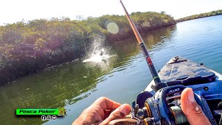 INCREIBLES PELEAS DE ROBALOS  PESCA de PARGOS y ROBALOS EN EL ESTERO con RATTLING [upl. by Boulanger]