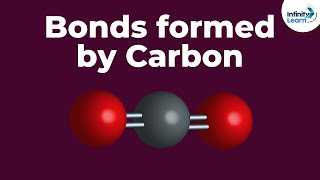 Bonds formed by Carbon  Dont Memorise [upl. by Emawk]