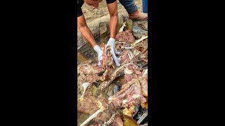 How Pueblastyle GOAT Barbacoa gets cooked underground [upl. by Shem]