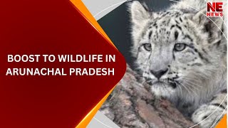 BOOST TO WILDLIFE IN ARUNACHAL PRADESH [upl. by O'Neil]