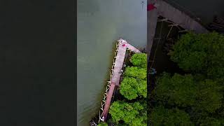 Ekowisata Bale Mangrove videoshortsviral videodrone tempatwisata lombok ntb [upl. by Mahgem945]