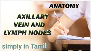 Axillary vein and Lymph nodes  Detailed explanation in Tamil [upl. by Melitta]