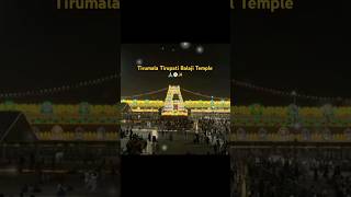 Tirumala Tirupati Balaji Darshan  Tirupati Balaji Status govinda india youtubeshorts shorts [upl. by Ligriv]