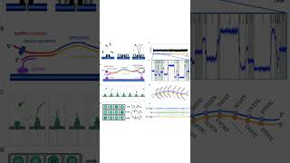 What is Oxford Nanopore Technology ONT sequencing [upl. by Akahc]