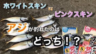 【博多湾】白スキンサビキとピンクサビキで釣り比べたら意外な結果に [upl. by Alysoun987]