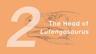 Yiran the Lufengosaurus 2 Head  Learn to Draw Dinosaurs with ZHAO Chuang [upl. by Noswad]