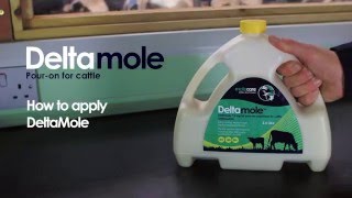 How To Apply Deltamole  Deltamethrin Pour On for Cattle from Molecare  Mole Valley Farmers [upl. by Ekram]