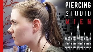 💉 Scoop Eskimo amp 2 Inner Conch 💉 4 PIERCINGS AUF EINMAL 💉 Marcs Piercing TV [upl. by Tichonn]