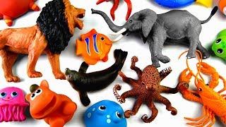 Learn Wild Zoo Animals Names Safari Animals Names Education Fun For Kids [upl. by Delphine]