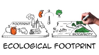 Ecological footprint Do we fit on our planet [upl. by Nesilla]