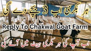 Reply to Chakwal Goat Farm  How To increase Number of Kids in Goats  ChakwalGoatfarm999 [upl. by Denby]