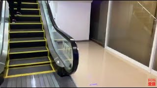 【日立】1X エスカレーター ドンキホーテ成増店 1X escalator Don Quixote Narimasu shopping center Tokyo Japan [upl. by Dyl]