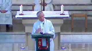 Clonard 2nd Sunday of Easter 2012 Homily Fr Pat OConnor [upl. by Pirnot]