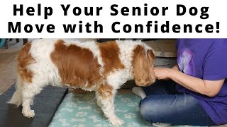 🐶 Senior Dog Balance amp Coordination Rehab Exercises with my Senior Cavaliers Chiari Malformation [upl. by Einnok]