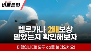 벨루가나 2배 보상 확인 방법 나는 왜 안들어왔지 [upl. by Gnni]