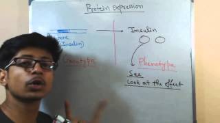 Protein expression [upl. by Luebke]