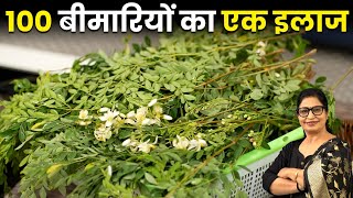 पेड़ नहीं औषधि है  बाल झड़नाबीपीशुगरमोटापा  सबका 1 ही रामबाण इलाज  3 New Winter Recipe [upl. by Aratahs533]