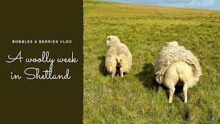 The Bobbles amp Berries Podcast · Vlog 1  A week in Shetland during Shetland Wool Week [upl. by Nodab759]