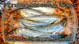 Малосольная сельдь иваси Рецепты Майора Пронина [upl. by Kidder]