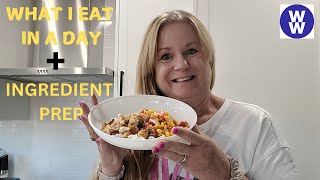 What I Eat In A Day On Weight Watchers PLUS Ingredient Prep [upl. by Yehtomit]