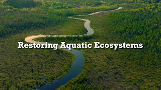 Restoring Aquatic Ecosystems [upl. by Necila961]