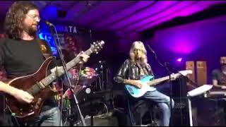 Eyes Of the World John Kadlecik Live at Terra Fermata Tiki Bar February 92019 [upl. by Darryl413]