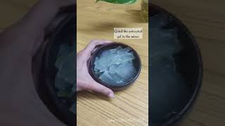 How to store Aloe Vera Gel fresh for monthsNo other ingredients used shorts [upl. by Adnic]