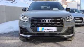 Quantum Gray Audi Q2 Edition1  exterior  interior and walkaround [upl. by Ainslie798]