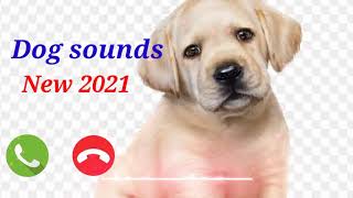 DOG new ringtone sound  New ringtone 2021 [upl. by Nosyt112]